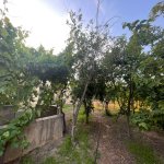 Satılır 5 otaqlı Bağ evi, Novxanı, Abşeron rayonu 7