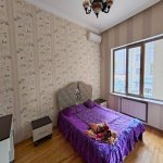 Kirayə (aylıq) 3 otaqlı Yeni Tikili, Gənclik metrosu, Nərimanov rayonu 6