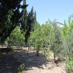 Satılır 8 otaqlı Bağ evi, Maştağa qəs., Sabunçu rayonu 10