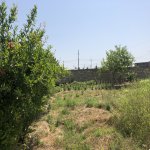Satılır 1 otaqlı Bağ evi, Goradil, Abşeron rayonu 6