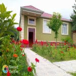 Kirayə (günlük) 4 otaqlı Həyət evi/villa Qəbələ 1