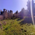 Kirayə (aylıq) 3 otaqlı Bağ evi, Bilgəh qəs., Sabunçu rayonu 13