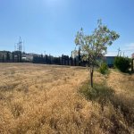 Продажа Участок, Мехеммедли, Абшерон район 7
