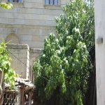 Satılır 6 otaqlı Həyət evi/villa, Həzi Aslanov metrosu, H.Aslanov qəs., Xətai rayonu 15