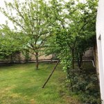 Kirayə (günlük) 4 otaqlı Həyət evi/villa Qəbələ 3