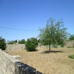 Satılır Torpaq, Səbail rayonu 6