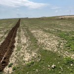 Satılır Torpaq, Masazır, Abşeron rayonu 5