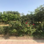 Satılır 5 otaqlı Bağ evi, Novxanı, Abşeron rayonu 7