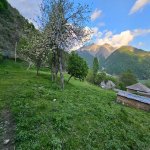 Satılır Torpaq Qəbələ 7