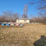 Satılır 3 otaqlı Həyət evi/villa Qax 7