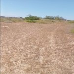 Продажа Участок, пос. Нардаран, Сабунчу район 8