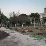 Продажа Участок, Новханы, Абшерон район 8