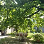 Kirayə (günlük) 2 otaqlı Həyət evi/villa Quba 8
