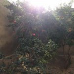 Satılır 5 otaqlı Həyət evi/villa, Masazır, Abşeron rayonu 13