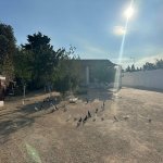 Satılır Torpaq, Mərdəkan, Xəzər rayonu 7