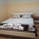 Satılır 8 otaqlı Həyət evi/villa Şəki 5