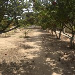 Satılır 5 otaqlı Həyət evi/villa, Xəzər rayonu 18