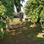Kirayə (günlük) 2 otaqlı Bağ evi Qusar 15