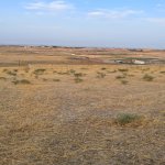 Продажа Участок, Сарай, Абшерон район 13