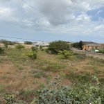 Продажа Участок, Новханы, Абшерон район 1