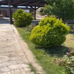 Satılır 7 otaqlı Həyət evi/villa, Novxanı, Abşeron rayonu 21