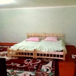 Kirayə (günlük) 3 otaqlı Həyət evi/villa İsmayıllı 11