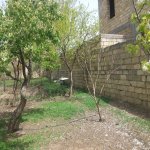 Satılır 4 otaqlı Həyət evi/villa, Saray, Abşeron rayonu 11