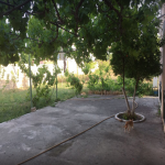 Kirayə (aylıq) 4 otaqlı Bağ evi, Saray, Abşeron rayonu 9