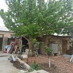 Satılır 6 otaqlı Həyət evi/villa Sumqayıt 17
