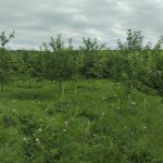 Посуточно 3 комнатная Дома/Виллы Гусар 3