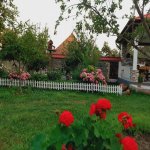 Kirayə (günlük) 4 otaqlı Həyət evi/villa Qəbələ 2