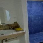 Kirayə (aylıq) 2 otaqlı Köhnə Tikili, Gənclik metrosu, Olimpik Star, Nəsimi rayonu 3