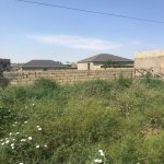 Satılır Torpaq, Avtovağzal metrosu, Novxanı, Abşeron rayonu 2