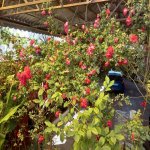 Satılır 6 otaqlı Həyət evi/villa Sumqayıt 17