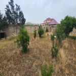 Satılır Torpaq, Sabunçu rayonu 11