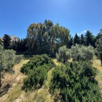 Satılır Torpaq, Şüvəlan, Xəzər rayonu 9