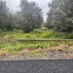 Satılır Torpaq, Nəsimi metrosu, 6-cı mikrorayon, Binəqədi rayonu 5