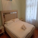 Kirayə (günlük) 5 otaqlı Həyət evi/villa, Badamdar qəs., Səbail rayonu 5