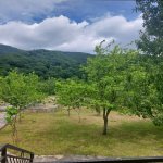 Kirayə (günlük) 4 otaqlı Həyət evi/villa Qəbələ 26