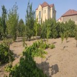Satılır Torpaq, Novxanı, Abşeron rayonu 10