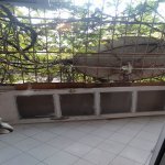 Kirayə (aylıq) 2 otaqlı Köhnə Tikili, Nəriman Nərimanov metrosu, Montin qəs., Nərimanov rayonu 1