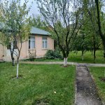 Аренда 2 комнатная Дома/Виллы Губа 3