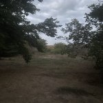 Satılır Torpaq, Novxanı, Abşeron rayonu 8