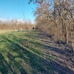 Satılır Torpaq Oğuz 10