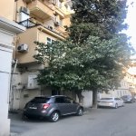 Satılır 3 otaqlı Köhnə Tikili, 28 May metrosu, Rusiya səfirliyi, Nəsimi rayonu 3