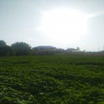 Satılır 5 otaqlı Həyət evi/villa Qazax 9