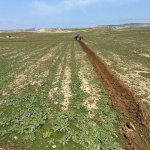 Satılır Torpaq, Masazır, Abşeron rayonu 11