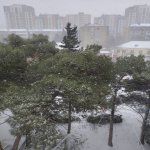 Satılır 1 otaqlı Köhnə Tikili, Qara Qarayev metrosu, Nizami rayonu 5