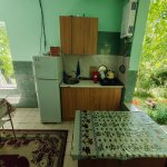 Kirayə (günlük) 2 otaqlı Bağ evi Qəbələ 6