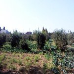 Satılır Torpaq, Maştağa qəs., Sabunçu rayonu 8